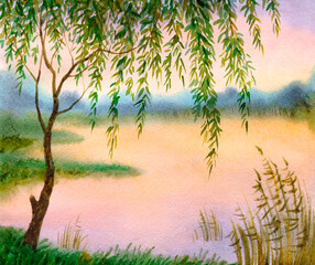 Watercolor landscape. Young willow branches bent over the evening pond © Marina