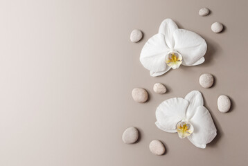 White orchids and pebble stones flat lay, floral beige background with copy space