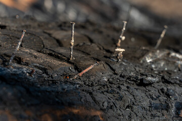 A wooden house in the village burned down because of a forest fire. Charred boards and various things lie on the ground, covered with ash and smoke.
