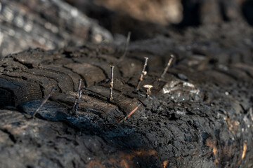 A wooden house in the village burned down because of a forest fire. Charred boards and various things lie on the ground, covered with ash and smoke.
