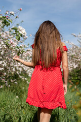 Young caucasian woman in red dress enjoying the flowering of an apple trees