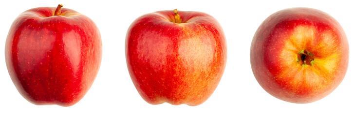 Red apple, bottom and side view. Red apple with tail isolated on white background.