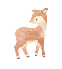 Watercolor deer. Woodland animal illustration for kids