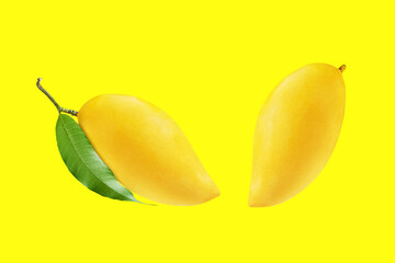 2 delicious ripe mangos on a yellow background