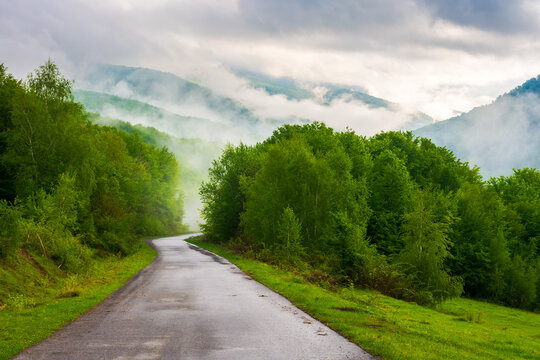 dramatic foggy weather in spring. carpathian countryside landscape in mountains. asphalt road winding through forest
