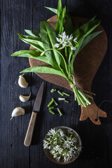 Bear's garlic leaves on wooden board with knife, scissors - dark and moody tone