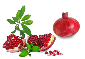 Pomegranate segments  isolated on white background