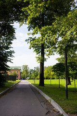 sandy alley in the park