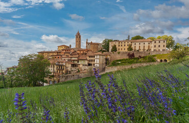 Fototapeta na wymiar Monforte d'Alba, langhe, Italy - May 02, 2022: medieval village of Monforte d'Alba on the hill with the ancient bell tower of Santa Maria, in the foreground blurred spring flowers