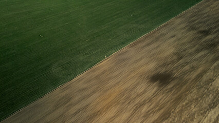 Spring agricultural land. A plowed and cultivated field borders on an uncultivated area overgrown with grass. Aerial photography.