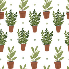 Fototapeta na wymiar Seamless pattern with home green plants in flower pots.