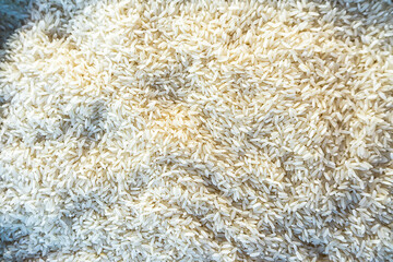 Top view of white rice photo style for wallpaper or texture