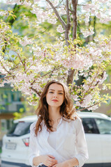 girl in a white shirt stands near the sakura. spring, sunny