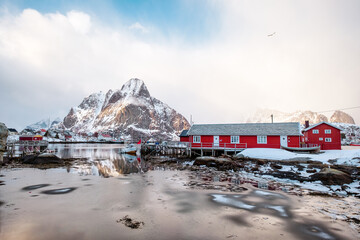 Red fishing cottage or Reine rorbuer with snow covered mountain on coastline in sunny day at Lofoten Island