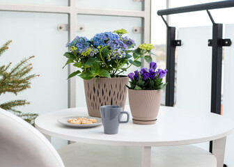 Floral composition at home, beautiful flowers, a cup of coffee and sweets on a white table on the loggia. Blooming hydrangea and purple eustoma in beige flower pots on the balcony.