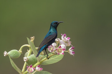 Just the setting you wanted eh?