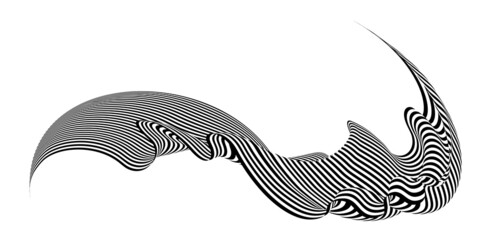 Waving flag as a brush stroke with zebra texture. Vest striped with fabric Black and white stripes curved in a bizarre way with waves curving along the trajectory