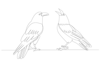 crows drawing in one continuous line, isolated, vector