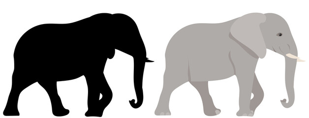 elephant silhouette, on white background, isolated, vector