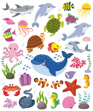 big set of sea animals. vector image in cartoon style