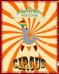 Vintage circus banner. With the image of a fur seal