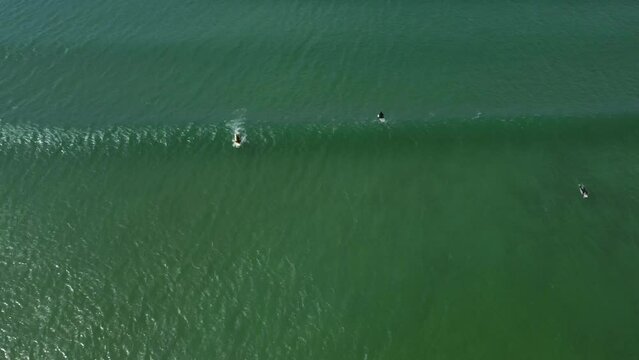 Drone shot of surfers at Muizenberg beach, Cape Town - drone is following a surfer attempting to catch a wave. Snippet could ideally be used for travel or surfing related videos or Cape Town movies.