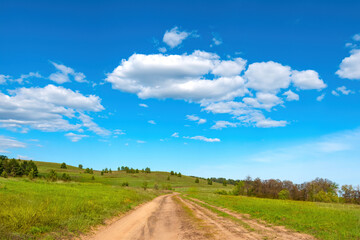 Fototapeta na wymiar long rural road through beatiful green grass lawn hill to forest under cloudy sky