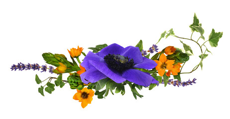 Blue anemome flower, orange ornithogalum, lavender and ivy leaves in a floral arrangement isolated