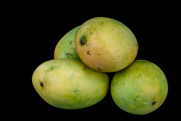 Mangoes isolated in white background, shot using studio lighting and water drops on the subject, Composition on a wooden log with extendable white background and ample copy space, Alphonso  Badami.