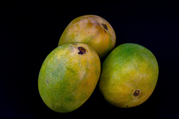 Mangoes isolated in white background, shot using studio lighting and water drops on the subject, Composition on a wooden log with extendable white background and ample copy space, Alphonso  Badami.