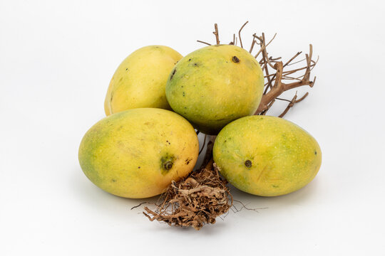 Mangoes Badami / Alphonso isolated in white background, shot using studio lighting and water drops on the subject, Composition on a wooden log with extendable white background and ample copy space.