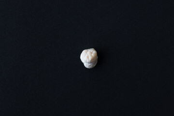 One white chickpea lies on a dark black plate background, top view, close-up, macro