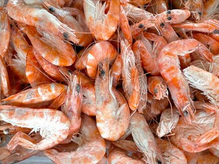 Frozen prawns background.