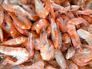 Stock of frozen Dendrobranchiatas (prawns)
