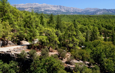 Fototapeta na wymiar View of a mountain range with dense green forest in the foreground near Tazi Canyon in Antalya, Turkey