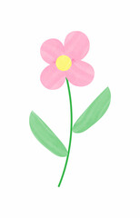 Botanical, poppy flower prints watercolor vector. Minimalist abstract plant branch