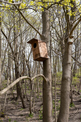 birdhouses on trees in the park
