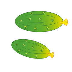 Big set of vegetables. vector image