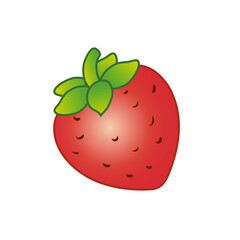 Big set of fruit. vector image