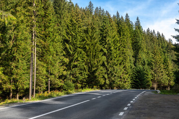 Naklejka premium Empty rural highway alpine mountan road at high coniferous pine tree bottom POV. Scenic abstract forest roadway landscape foggy spring morning. European nature travel car concept. Nobody car scene