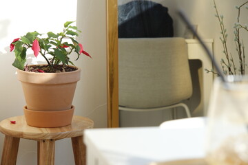 pictures of Korea, Republic of