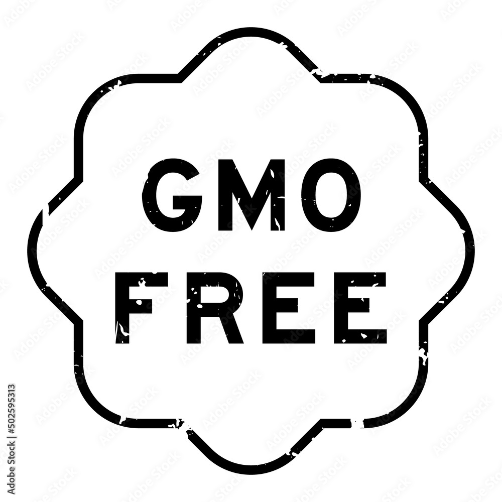 Poster grunge black gmo (abbreviation of genetically modified organisms) free word rubber seal stamp on whi