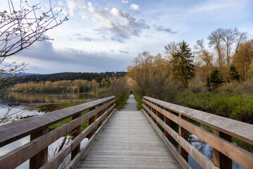 View of a Wooden Path with green fresh trees in Shoreline Trail, Port Moody, Greater Vancouver, British Columbia, Canada. Trail in a Modern City during a Sunny Spring Sunset.