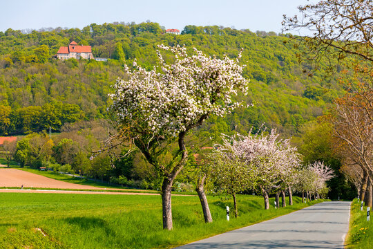Burg Schaumburg, Rinteln, Weserbergland, Niedersachsen, Deutschland