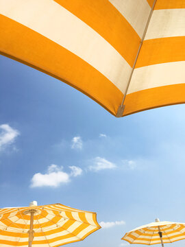 Yellow umbrellas on the beach