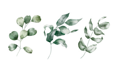 Watercolor floral illustration set – Eucalyptus: green leaf branches collection, for wedding design, invitation, greetings, wallpapers, fashion, background. 
