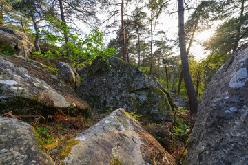 Sandstone boulders in the forest of Fontainebleau near Paris, France