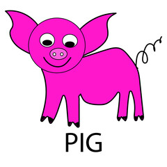 hand drawn illustration of pig