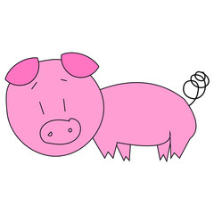 hand drawn illustration of pig