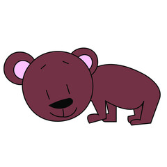 bear isolated